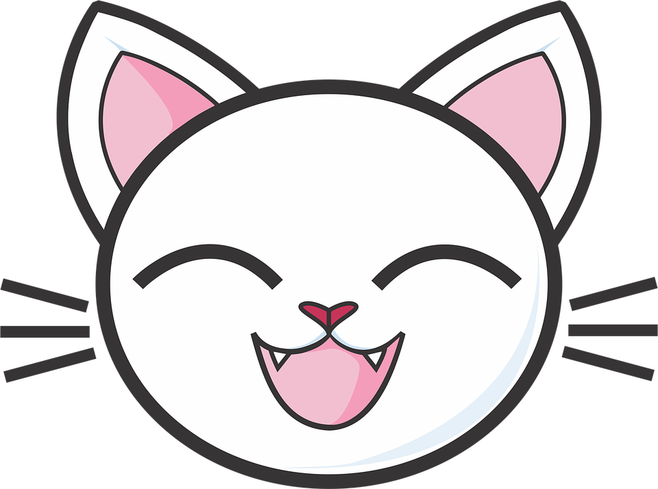 white-cat-1732386_960_720.png